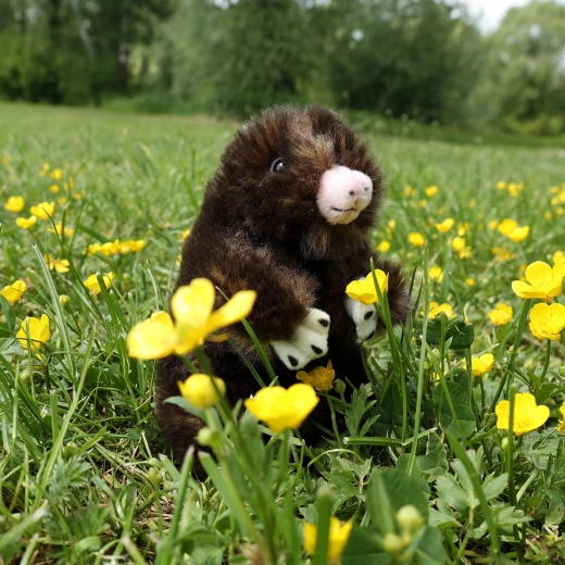 Realistiškos detalės ir švelnus pliušas