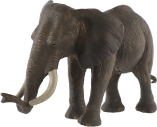 Skatina kūrybiškumą ir mokymąsi