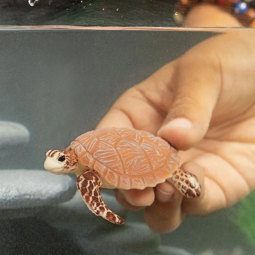 Patvari vaikų rankoms