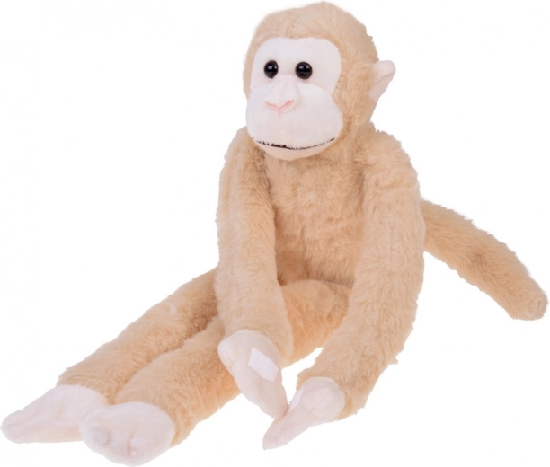 Soft plush and an adorable look