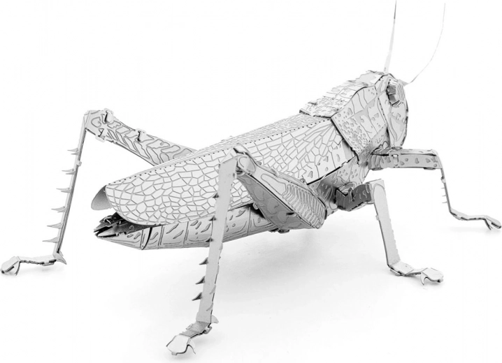 Metalinis kolekcinis eksponatas