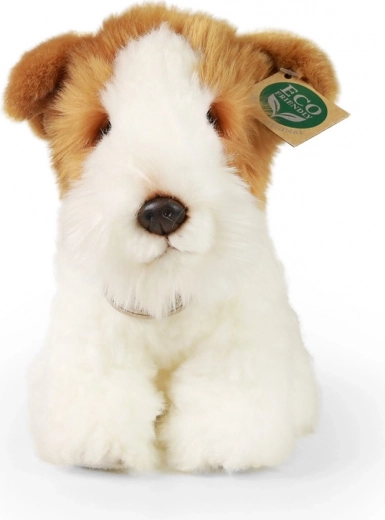 Ekologiškas pasirinkimas