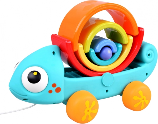 Multifunkcinis žaislas