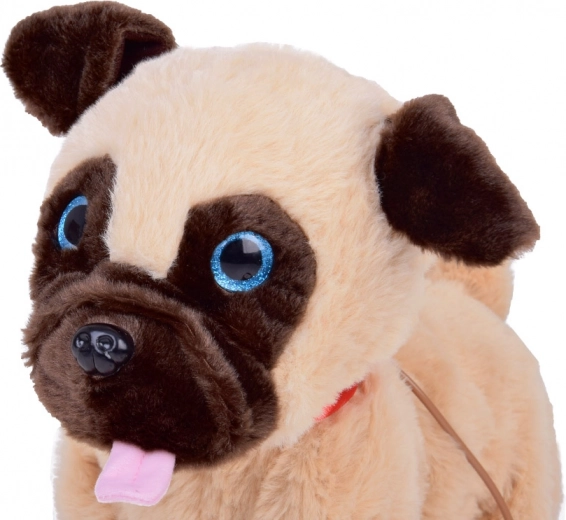 Minkštutis pliušas ir miela išvaizda