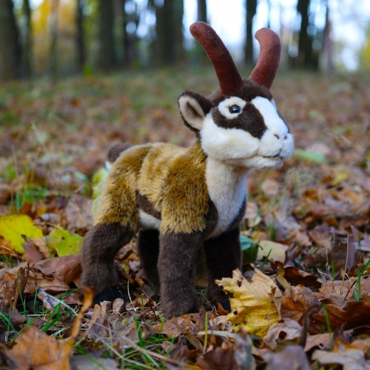 Ekologiškos medžiagos