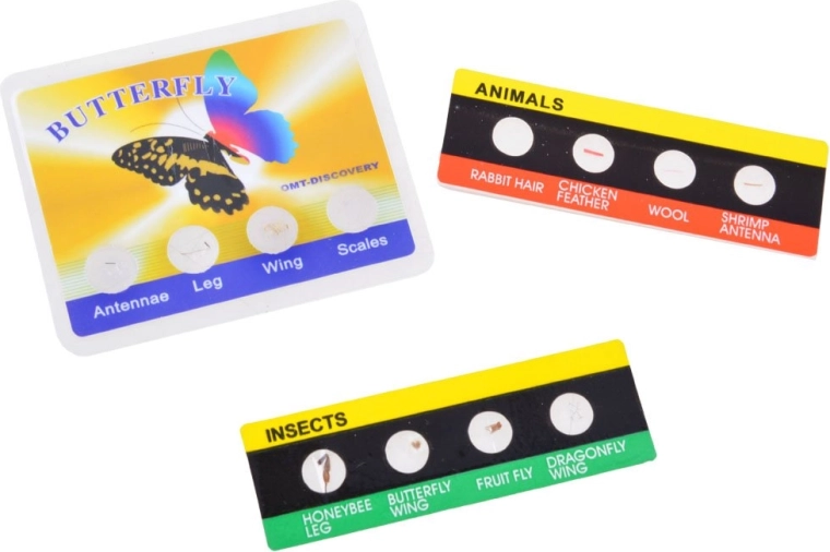 Mokomosios kortelės