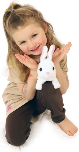 Nameliukas tiesiai pakuotėje