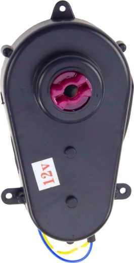 Galingas 12 V variklis su reduktoriumi