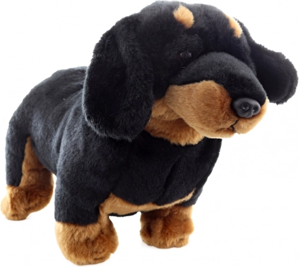 Draugiškas aplinkai