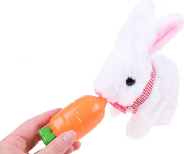 Smagus maitinimas ir atsakomybės ugdymas