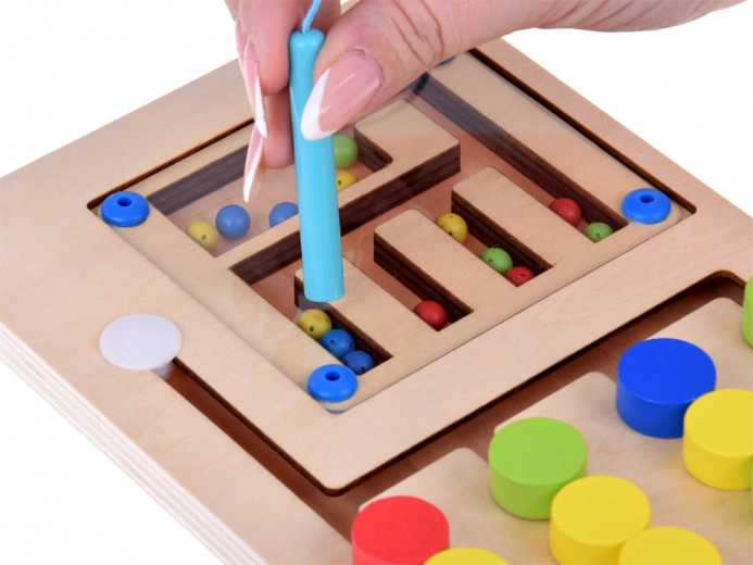 Labirintas su magnetine lazdele