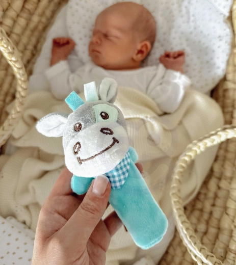 Garso ir lytėjimo elementai