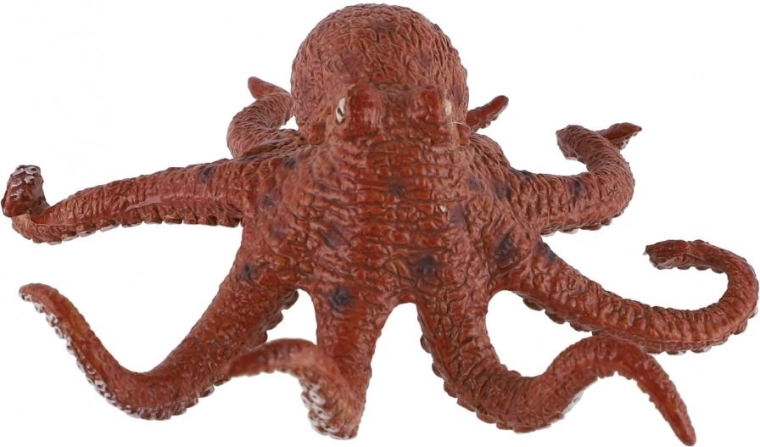 Atspari ir plaunama medžiaga