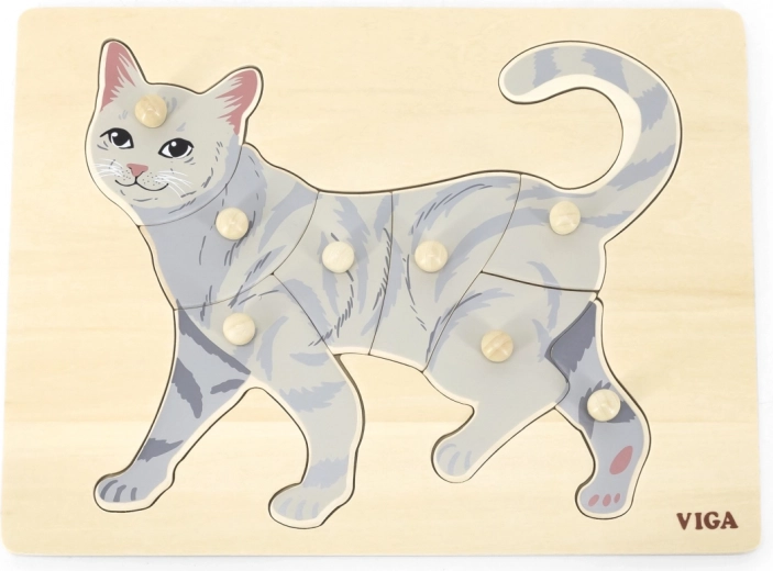 Patvari medinė lenta