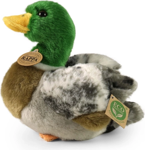 Saugus pasirinkimas vaikams nuo gimimo