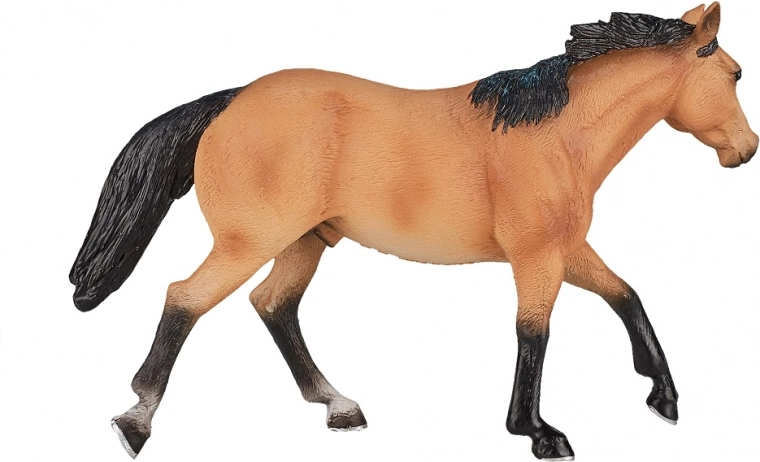 Ištikimas QUARTER HORSE veislės atvaizdavimas