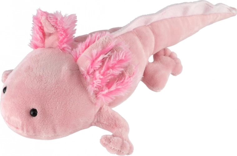 Saugus nuo gimimo (0 m+)