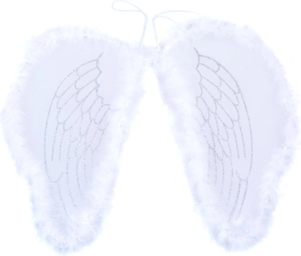 Dizainas ir konstrukcija