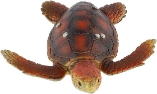 Dekoratyvinis naudojimas