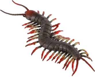 Ideali antistresinė priemonė