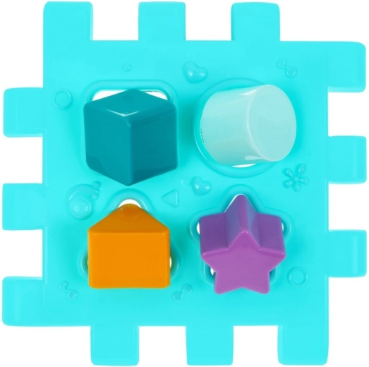 Formų ir spalvų rūšiuoklis