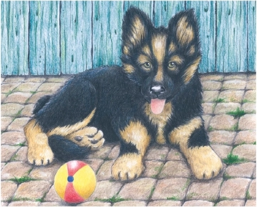 Šuniukas linksmiems žaidimams