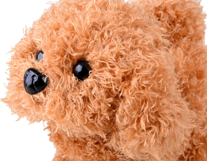 Interactive plush poodle that comes to life