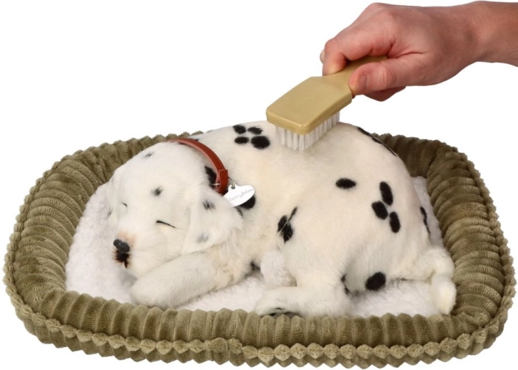 Šepetėlis švelniai priežiūrai