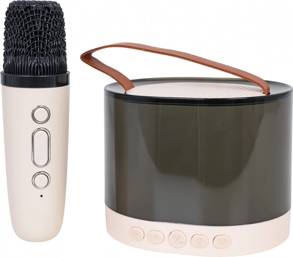 Švarus ir galingas garsas su DSP