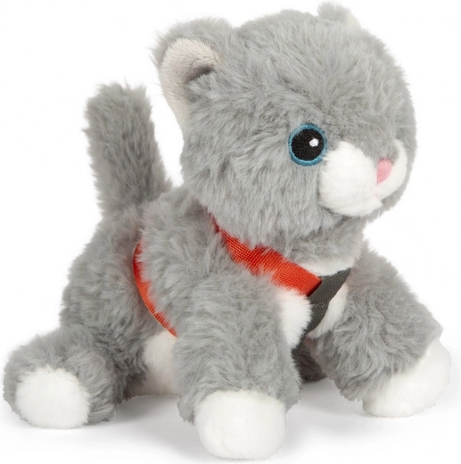 Miela ir švelni plišinė katytė