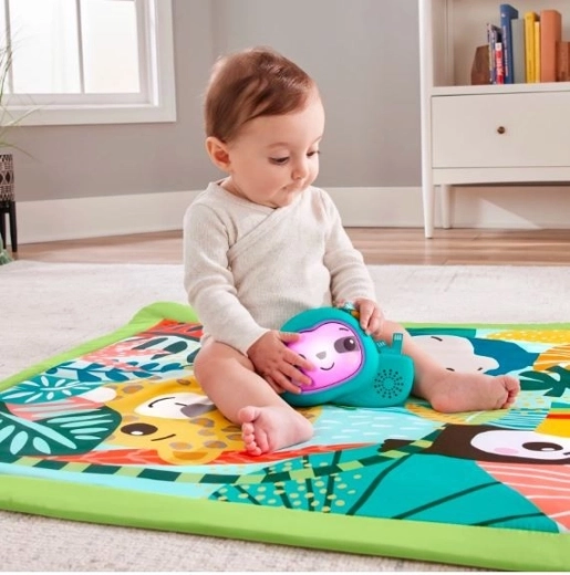 Interactive Sloth Toy