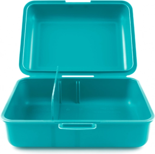 Išimama pertvarėlė