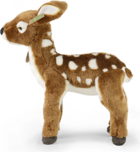 Realistiškas dizainas