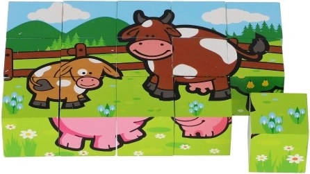 Pusiausvyra ir priežasties–pasekmės ryšys