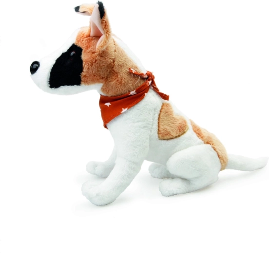 Draugiškas dizainas