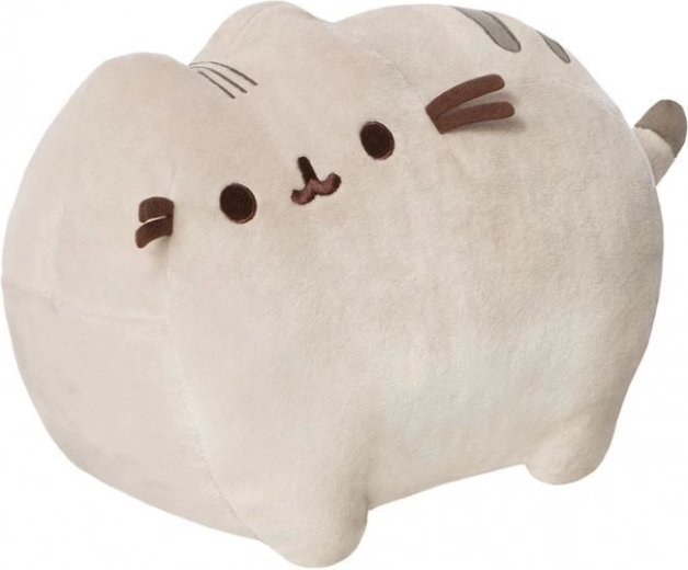 Adorable Pusheen design