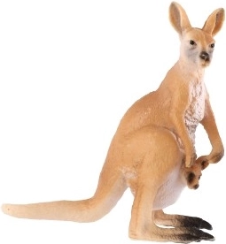 Ištikimos kengūros su jaunikliu detalės