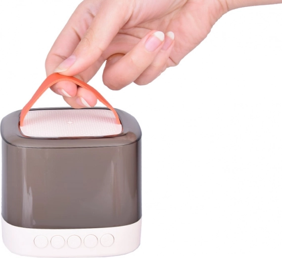 Nešiojamas ir belaidis