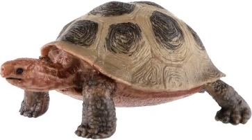 Realistiškos detalės