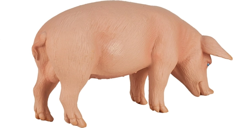 Tinka kolekcionieriams