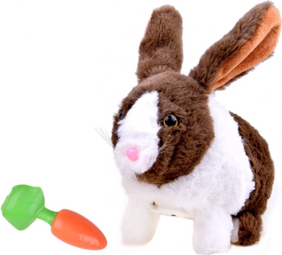 Smagus maitinimas morkyte