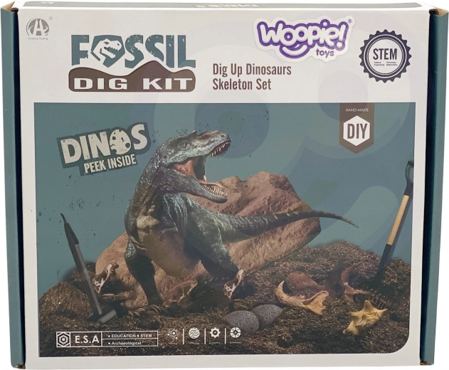 Praktinių įgūdžių lavinimas