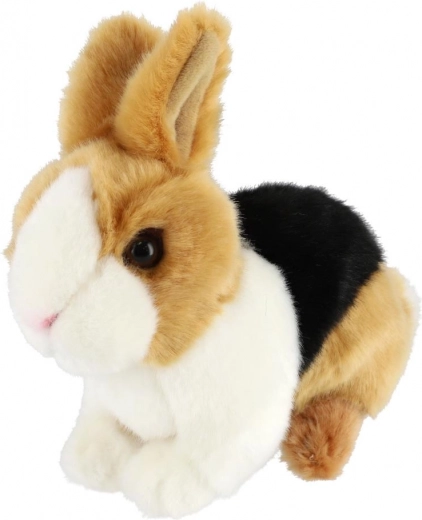 Realistiškos detalės ir spalvinis atlikimas