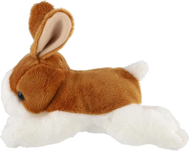 Kompaktiškas ir lengvai sugriebiamas