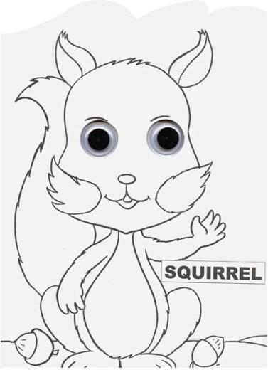 Squirrel with googly eyes – a picture that watches you
