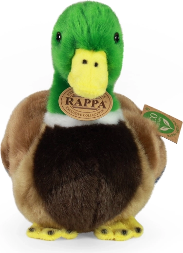 Realistiška išvaizda