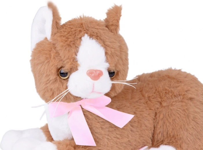 Mielos detalės tikroviškai išvaizdai