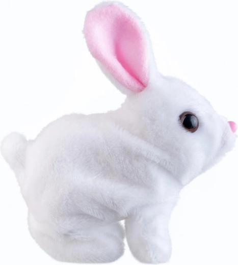 Švelnus ir saugus pliušas glostymui