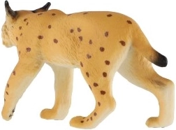 Idealaus 9 cm dydžio