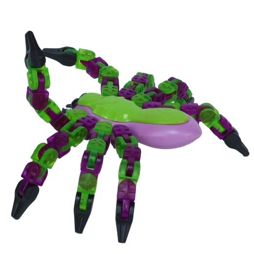 Nuotraukų ir animacijų kūrimas Zing Studio